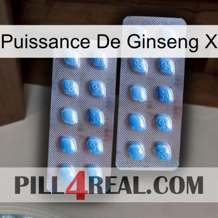 Ginseng Power X viagra4
